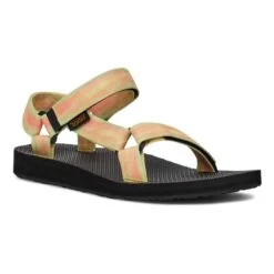 Teva Store -Teva Store tva 1124231 syl 002